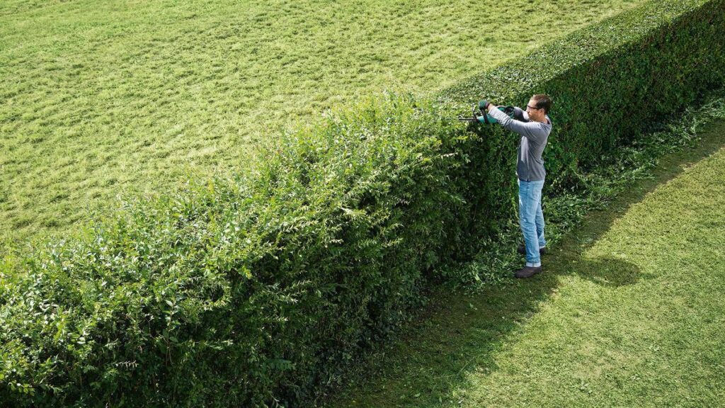 Hedge Trimming Tips